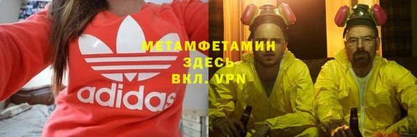 индика Бронницы