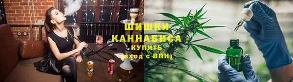 индика Бронницы