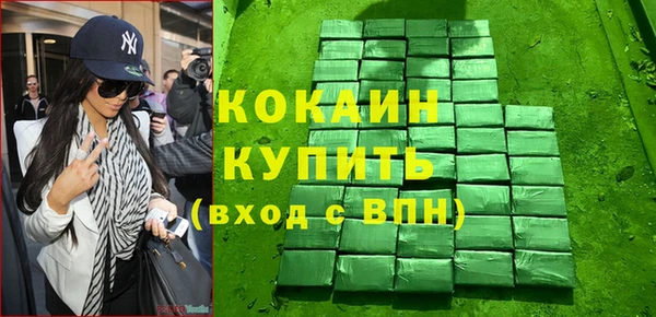 индика Бронницы