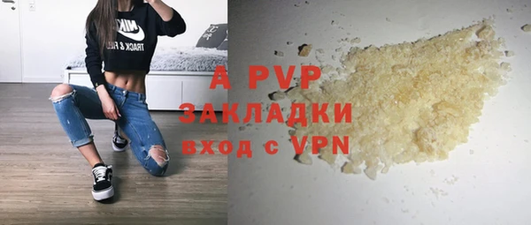ПСИЛОЦИБИНОВЫЕ ГРИБЫ Балахна