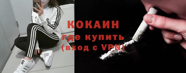 индика Бронницы