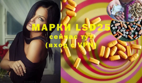 индика Бронницы