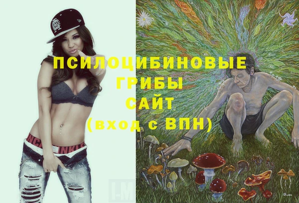 индика Бронницы