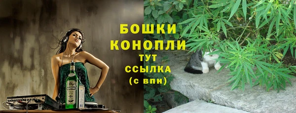 метадон Касимов