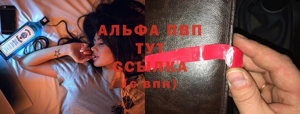 индика Бронницы