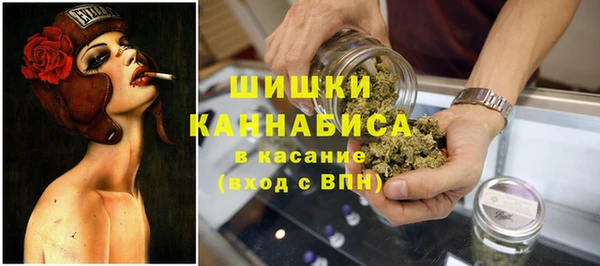 индика Бронницы