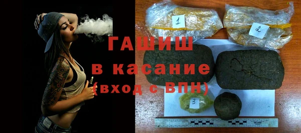 индика Бронницы