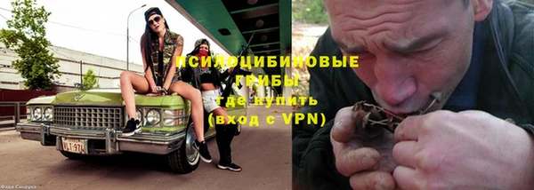 ПСИЛОЦИБИНОВЫЕ ГРИБЫ Карпинск