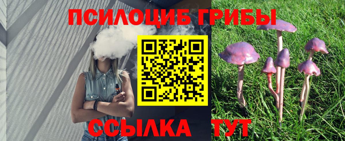 Галлюциногенные грибы Psilocybe Луховицы